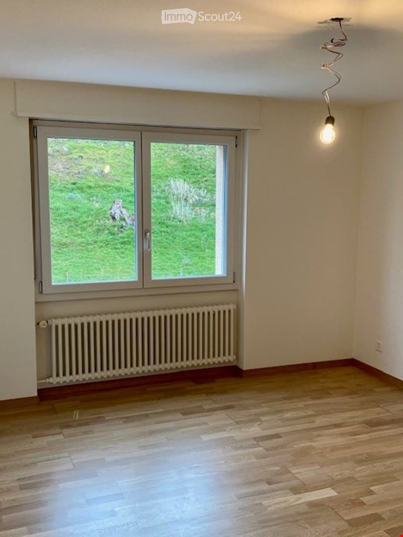 Empty room with wooden flooring, white walls, large window with view of greenery, radiator below window, and a single hanging light fixture.