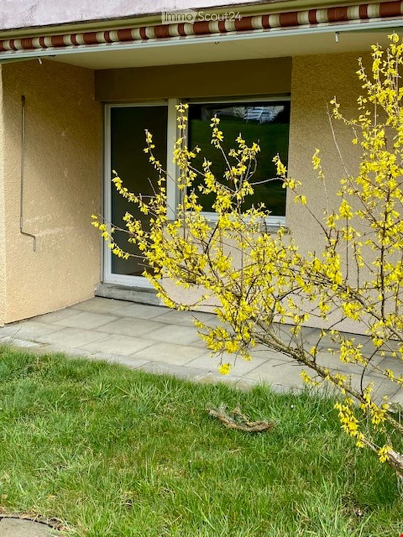 Front yard of a house with a small yellow flowering tree, a paved patio area, and a glass sliding door leading into the house.