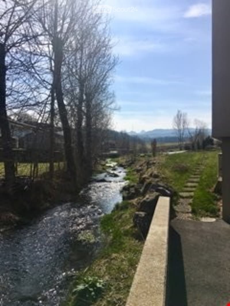 A serene outdoor setting featuring a small stream flowing through a grassy area, surrounded by trees and a concrete pathway leading to a building.