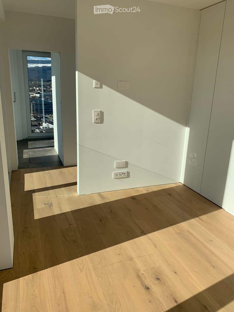 Empty hallway with light wooden flooring, white walls, and electrical outlets. Sunlight streams in from an open doorway leading to a balcony with a city view.