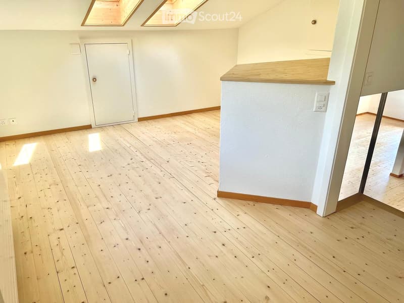 Empty room with light wooden flooring, white walls, and a white door. Natural light streams in from skylights above.