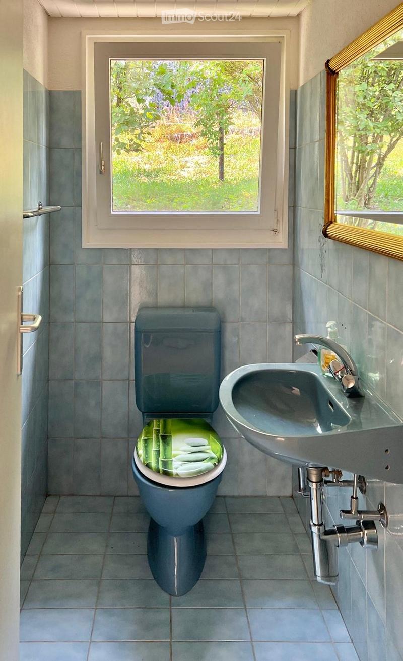 Bathroom with blue tiles, a toilet with a green bamboo-patterned seat cover, a sink with a modern faucet, and a large window offering a view of greenery.