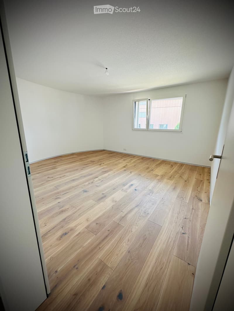 Empty room with light wooden flooring and white walls, featuring a single window with white frames and a visible light fixture on the ceiling.