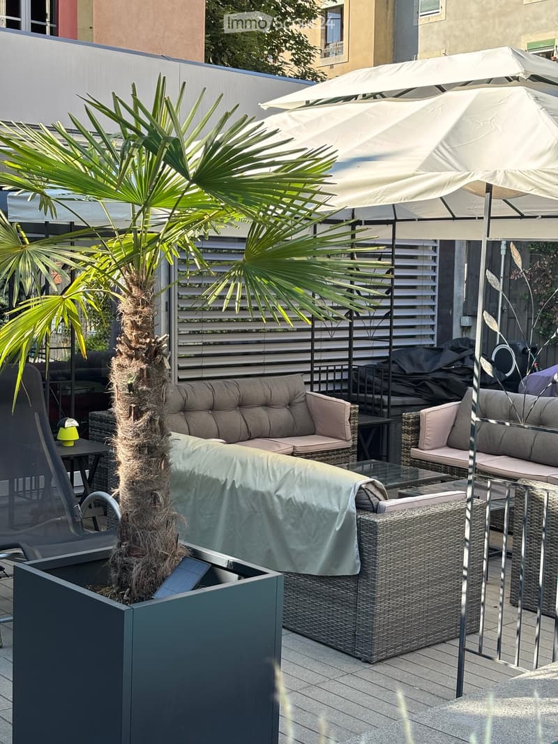 a large palm tree in a black pot, grey outdoor sofa, covered glass coffee table, metal umbrella