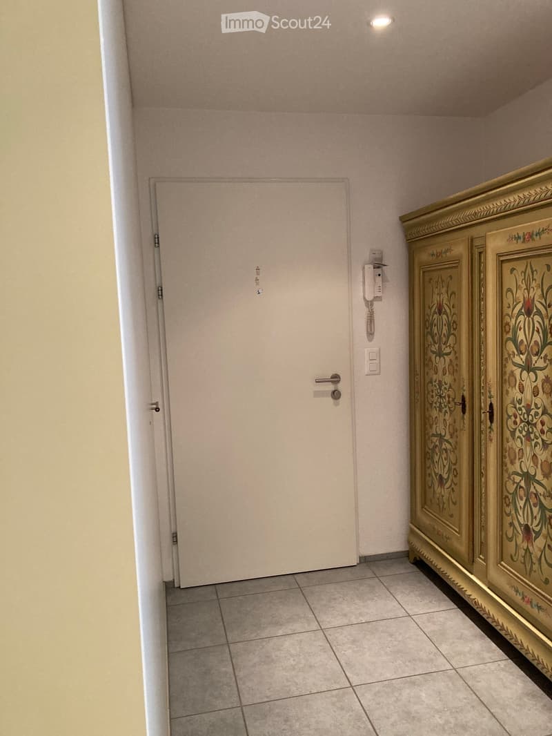 A narrow hallway with tiled flooring, a closed white door, and a decorative cabinet with floral patterns on the right side.