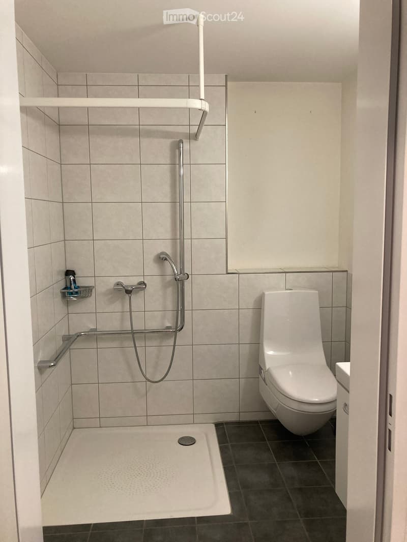 Modern bathroom with a white tiled shower area, a toilet, a shower handle, a handrail, and a small shelf holding a bottle.
