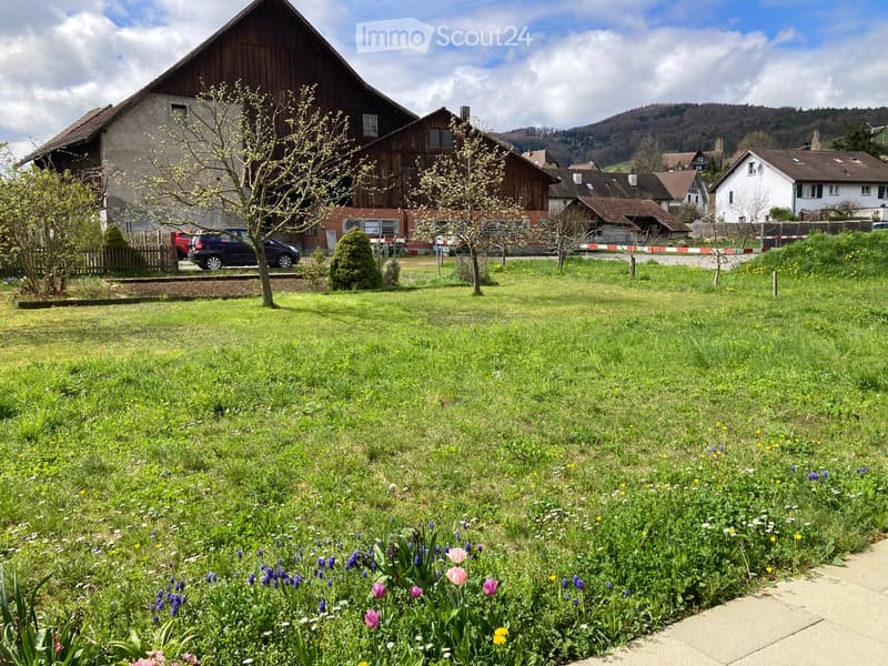 A well-maintained garden with a variety of flowers, including tulips and daffodils, in the foreground. The background features a large wooden house with a stone facade, surrounded by other houses and a grassy lawn.