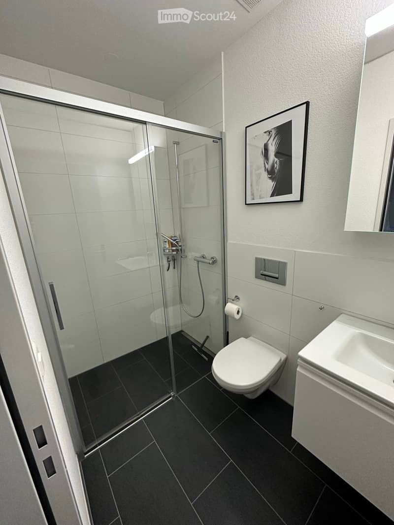 Modern bathroom with black tiled floor, white toilet, sink, glass-enclosed shower, and a framed picture on the wall.