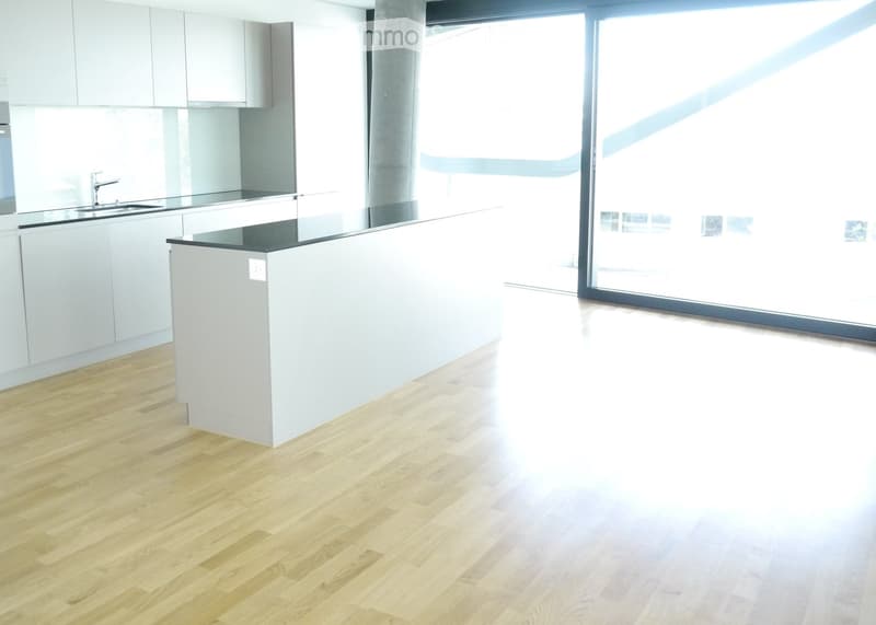 Empty kitchen with light grey cabinets, a black countertop, and a wooden floor. Large windows provide natural light.