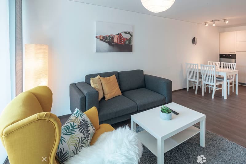 gray couch, yellow accent chair, white coffee table, carpet, floor lamp, dining table with chairs, kitchen