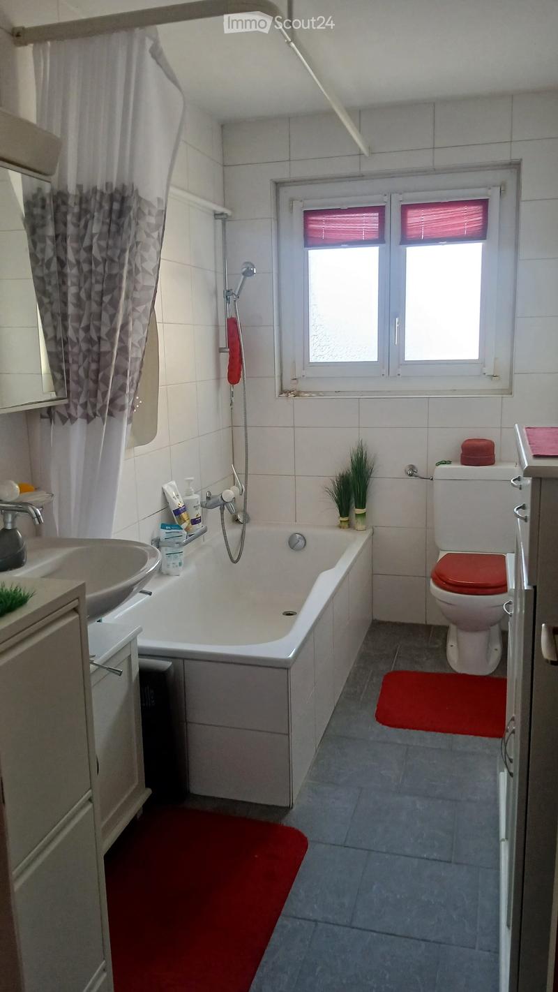 Bathroom with a bathtub, toilet, sink, and shower area. Includes a red bath mat, small potted plant, and various toiletries on the sink counter.