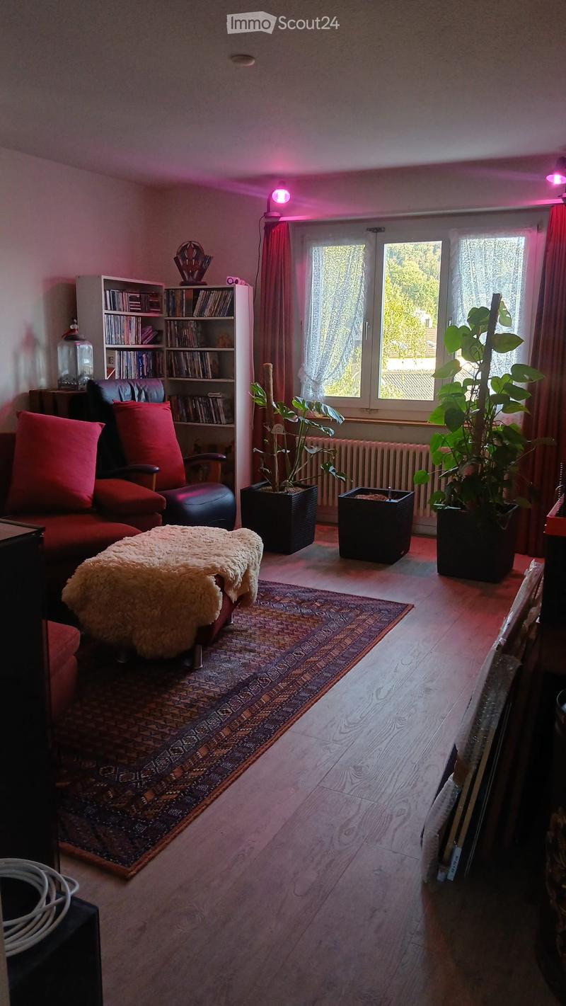 Living room with wooden flooring, large window, red sofa, sheepskin stool, bookshelf, and potted plants.