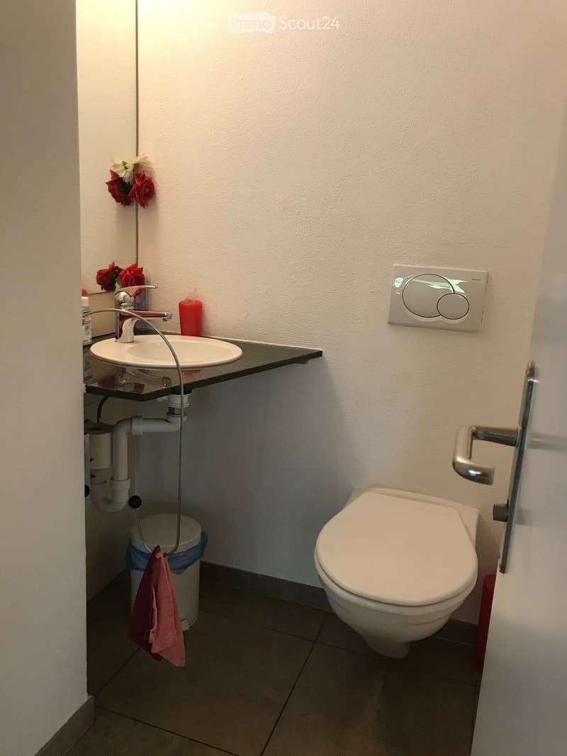 Modern bathroom with a white sink, chrome faucet, toilet, mirror, and a small flower arrangement on the sink counter. A towel hangs on a rack next to the trash can.