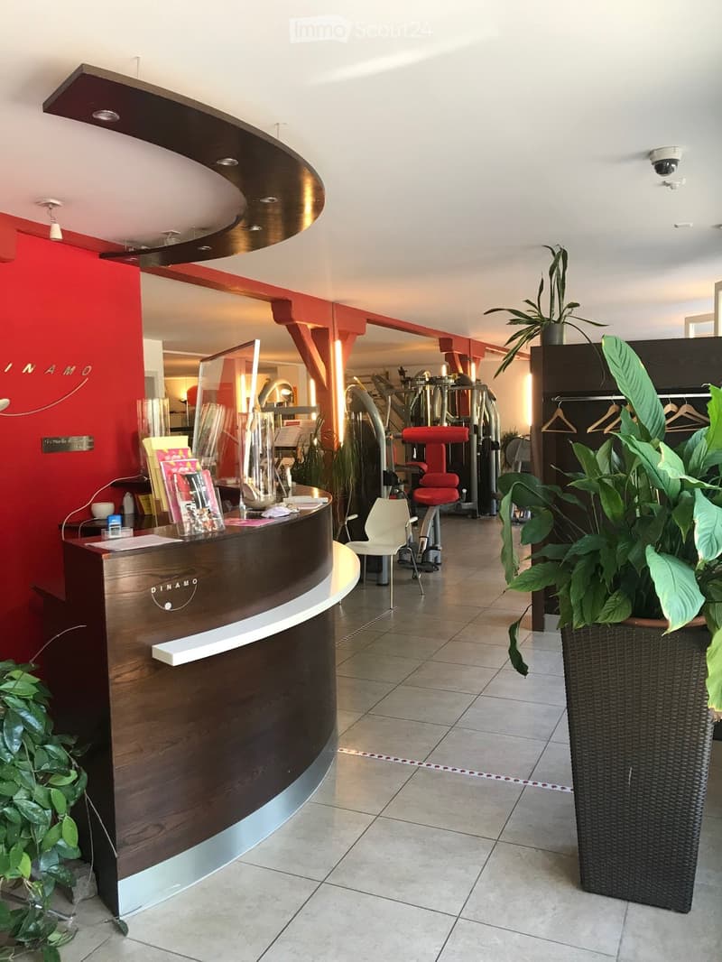 Modern reception area with a curved wooden desk, a white chair, potted plants, and visible fitness equipment in the background.