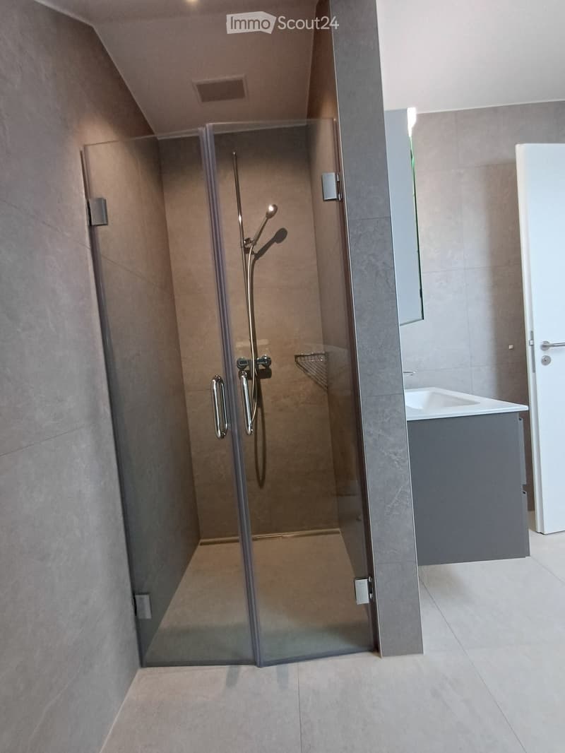 Modern bathroom with a glass-enclosed shower, sleek faucet, and a sink with a cabinet underneath.