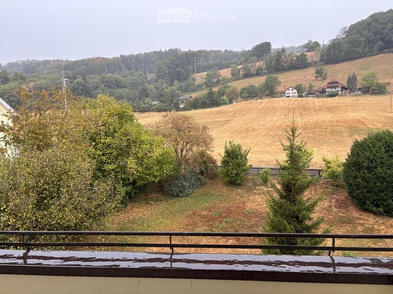 View from a balcony overlooking a rural landscape with fields, trees, and distant houses.