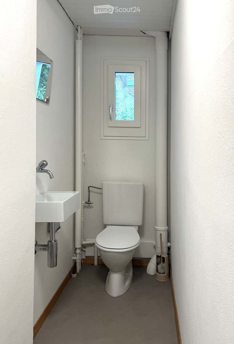 Compact bathroom with a toilet, sink, and small window. Includes a toilet brush holder and visible plumbing.