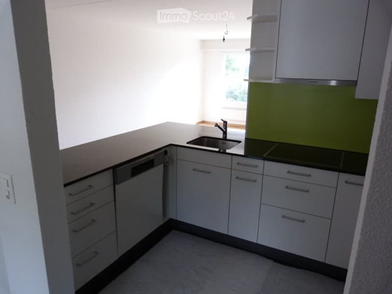 Modern kitchen with white cabinets, black countertops, and stainless steel sink and dishwasher.
