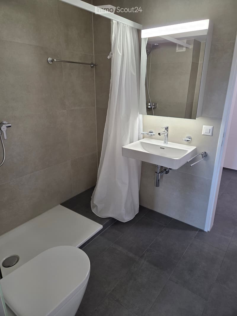 Modern bathroom with a bathtub, sink, mirror, and shower curtain. Features dark tiled flooring and light-colored walls.