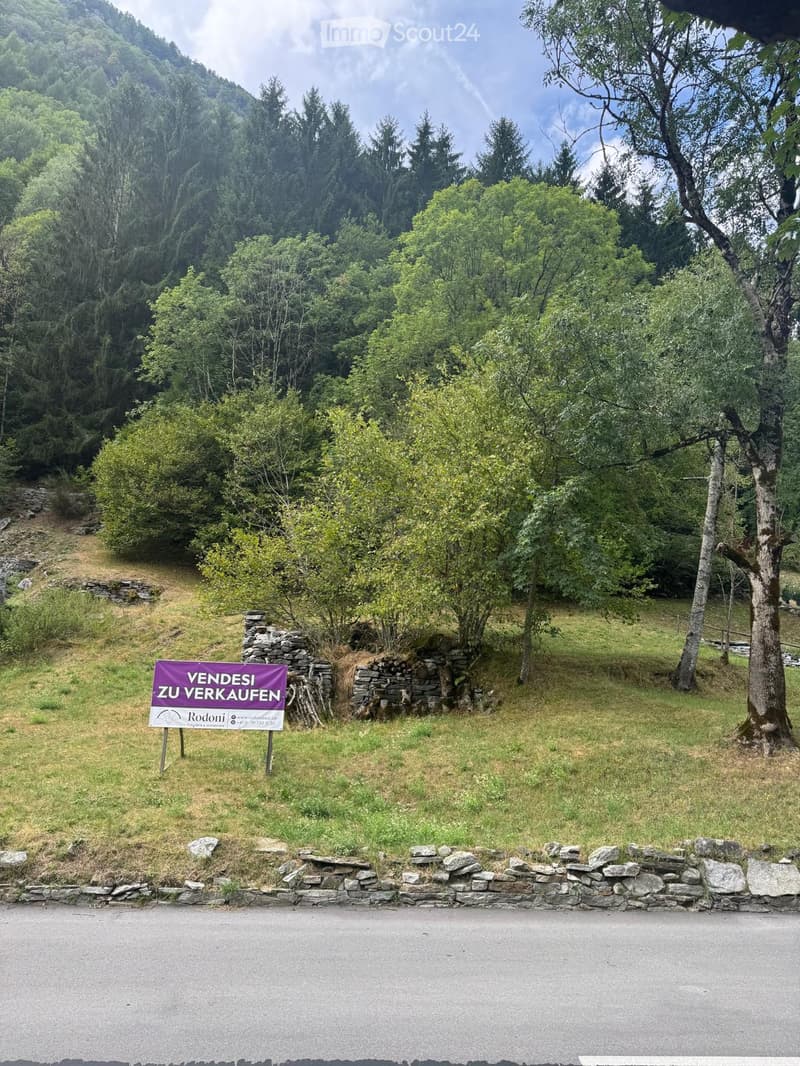 A grassy area with trees and a stone wall, featuring a sign that reads "VENDESI ZU VERKAUFEN" indicating the property is for sale.
