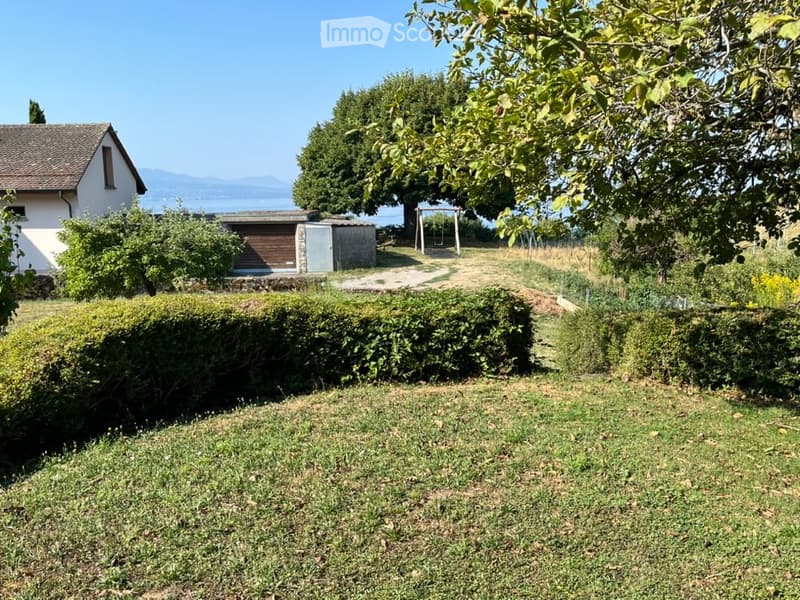 Garden area with a hedge, trees, a swing, and a small shed near a house with a view of a lake in the background.