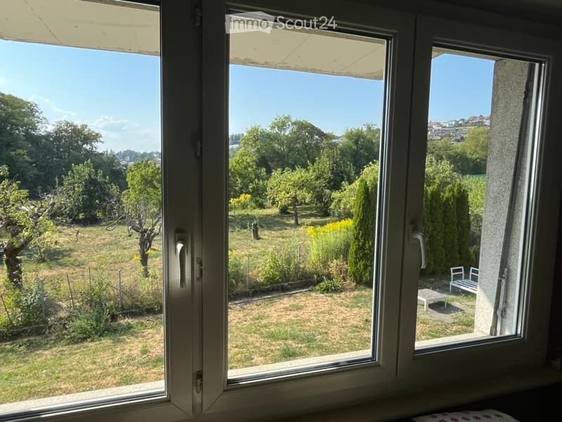 View from a window showing a garden area with trees, grass, and a small seating area with a table and chairs.