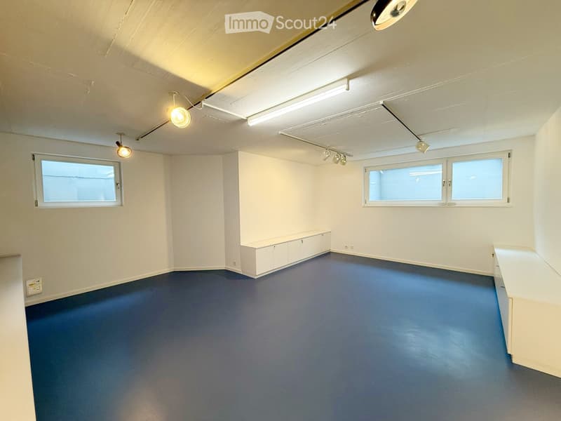 Empty room with white walls, blue carpet, and built-in storage units along one wall. The room has multiple windows and track lighting.