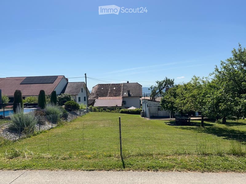 A well-maintained lawn with a fence, several houses in the background, and a swimming pool visible on the left side.