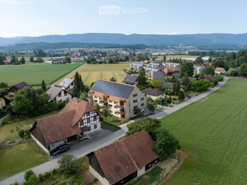 Aerial view of a residential area with multiple houses, solar panels, and surrounding fields and trees.