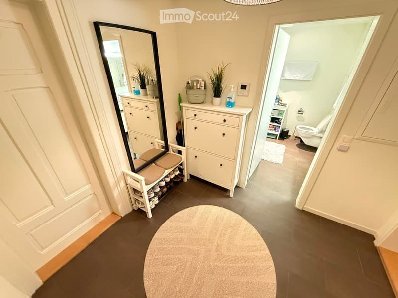 Hallway with a round rug, shoe rack, small white cabinet, and an open door leading to a bathroom.