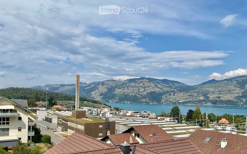 A panoramic view of a town with a lake and surrounding mountains in the background, featuring various buildings and rooftops in the foreground.