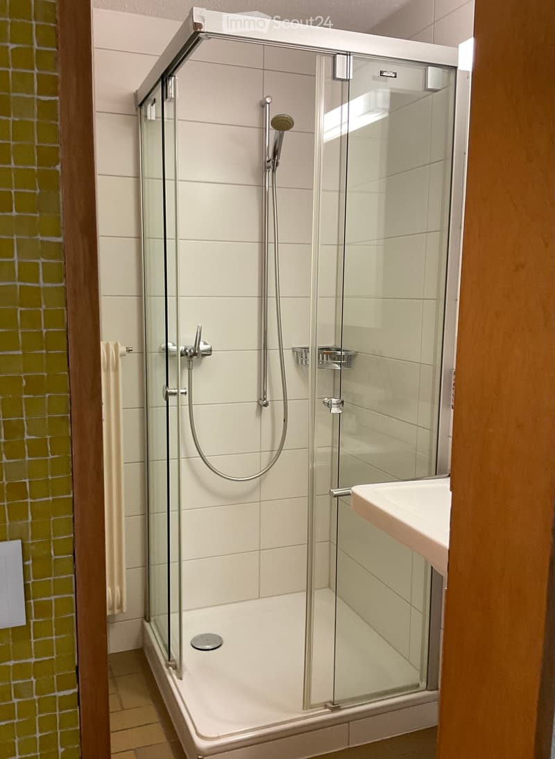 Modern bathroom with a glass-enclosed shower stall, a handheld showerhead, and a sink. The shower stall has a built-in seat and a glass door. The walls are tiled in light beige and green.