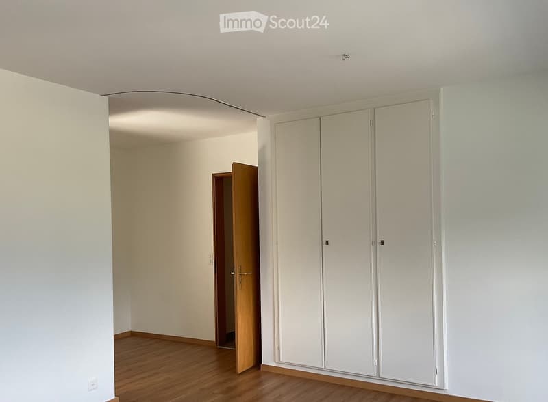 Empty room with light-colored walls, wooden flooring, and built-in white closet units. A wooden door leads to another space.