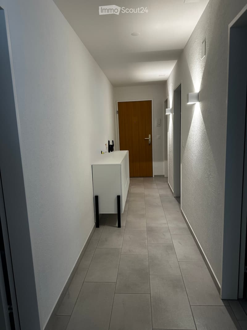 Modern hallway with tiled floor, white walls, built-in storage unit, and recessed lighting. Features a wooden door at the end and wall-mounted light fixtures.