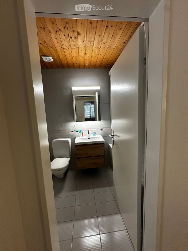 Modern bathroom with a wooden ceiling, tiled walls, a toilet, a sink with a wooden cabinet, and a mirror above it. The floor is tiled, and the space is well-lit with a built-in light above the mirror.
