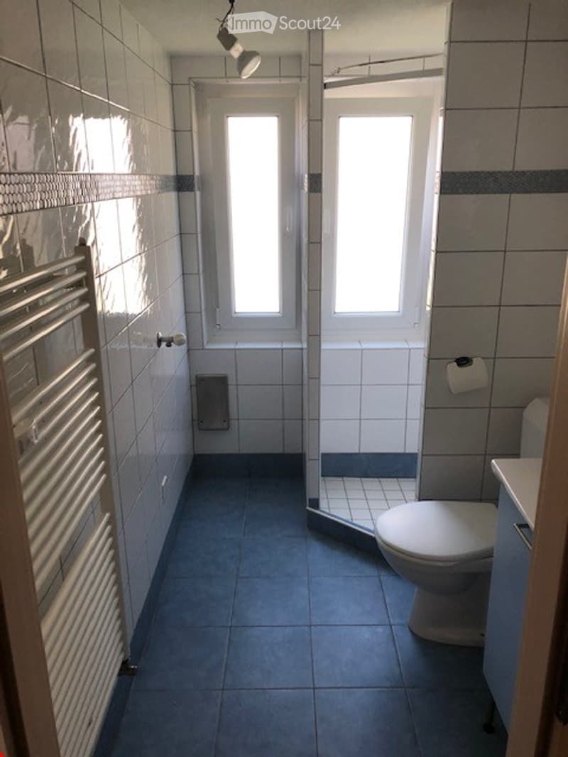 Modern bathroom with blue tiled floor, white tiled walls, a shower stall, a toilet, and a towel rack. Natural light streams in through two windows.