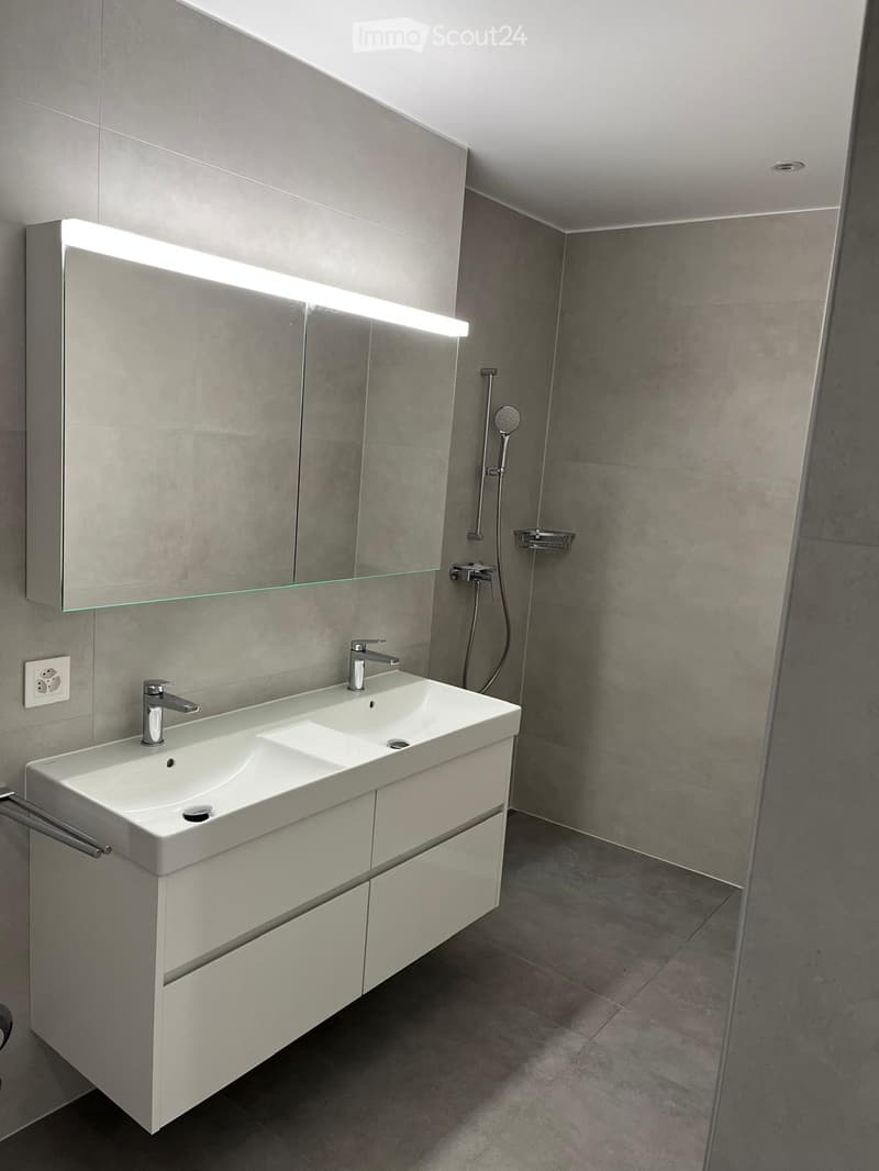 Modern bathroom with a double sink, sleek faucet, large mirror with built-in lighting, and a separate shower area with a handheld showerhead.
