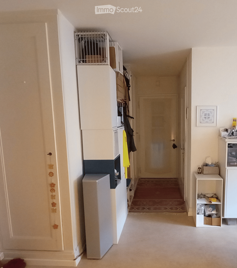A narrow hallway with white walls, a closed door at the end, and built-in storage units on one side. A small rug is placed near the door, and a few items are stored on the shelves.