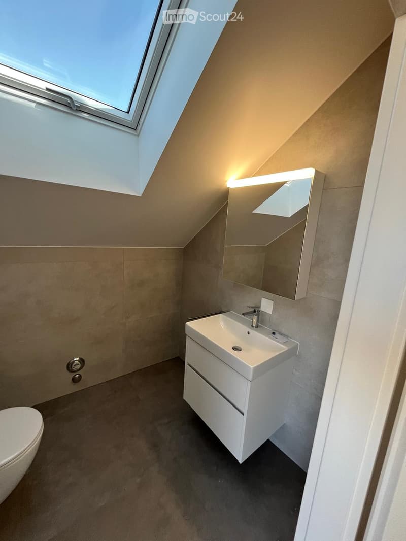 Modern bathroom with a white sink, mirror, and toilet. Features a skylight window and built-in storage cabinet.