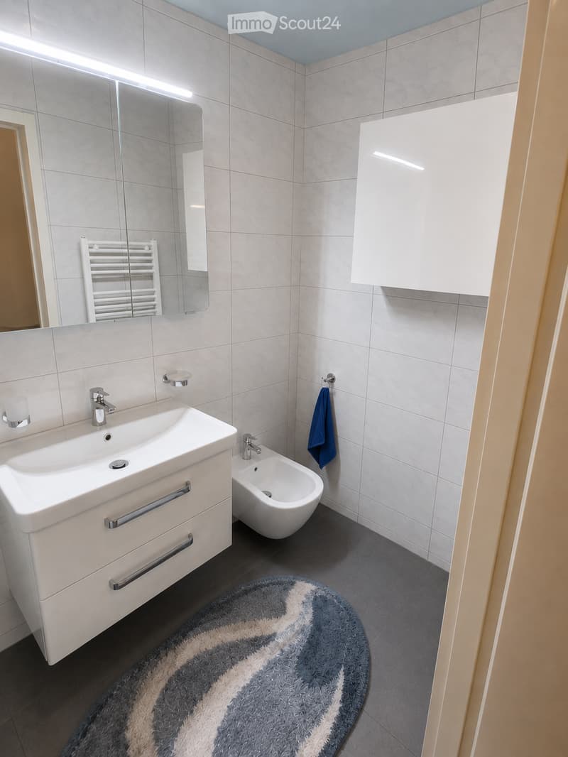 Modern bathroom with white tiles, a sink with a chrome faucet, a mirror, a white cabinet, a bidet, a towel, a radiator, and a round rug.