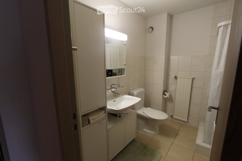 Modern bathroom with a white sink, toilet, mirror, radiator, and a shower area with a curtain. Beige tiles and a light-colored cabinet are visible.