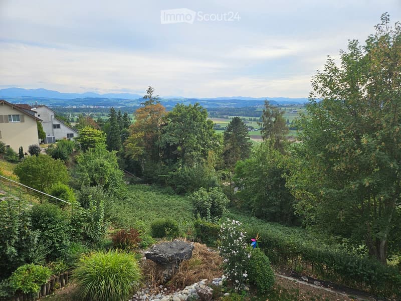 A lush garden with trees, shrubs, and a stone bench, overlooking a scenic valley with houses and distant mountains.