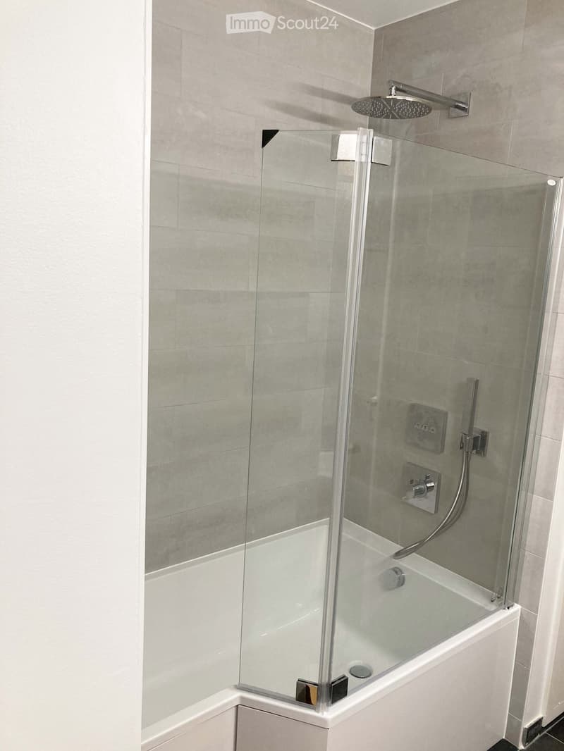 Modern bathroom with a bathtub enclosed by a glass shower enclosure, featuring a handheld showerhead and a fixed showerhead above the tub.