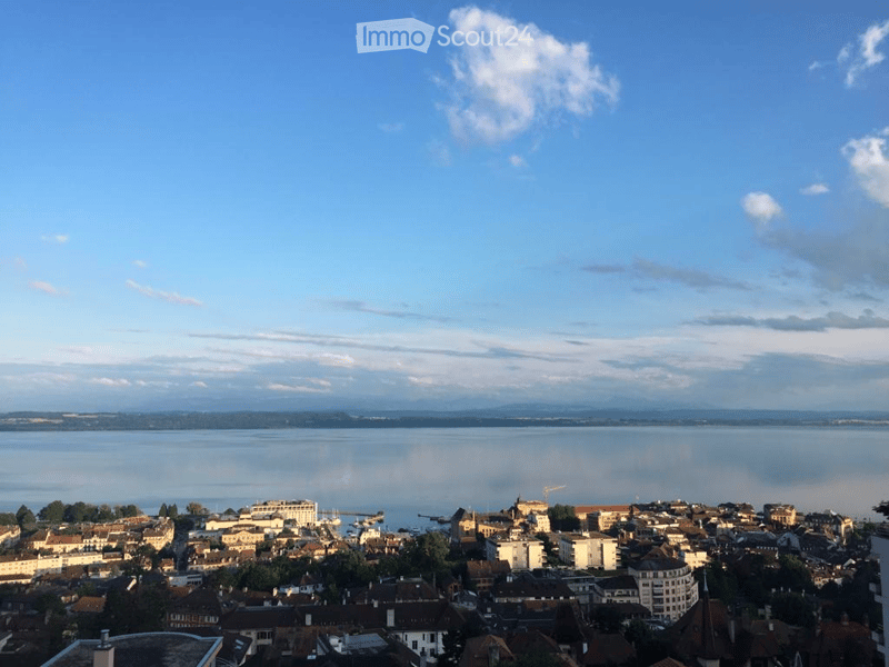 A panoramic view of a town with a lake in the background, featuring a mix of residential and commercial buildings, surrounded by trees and a clear blue sky.