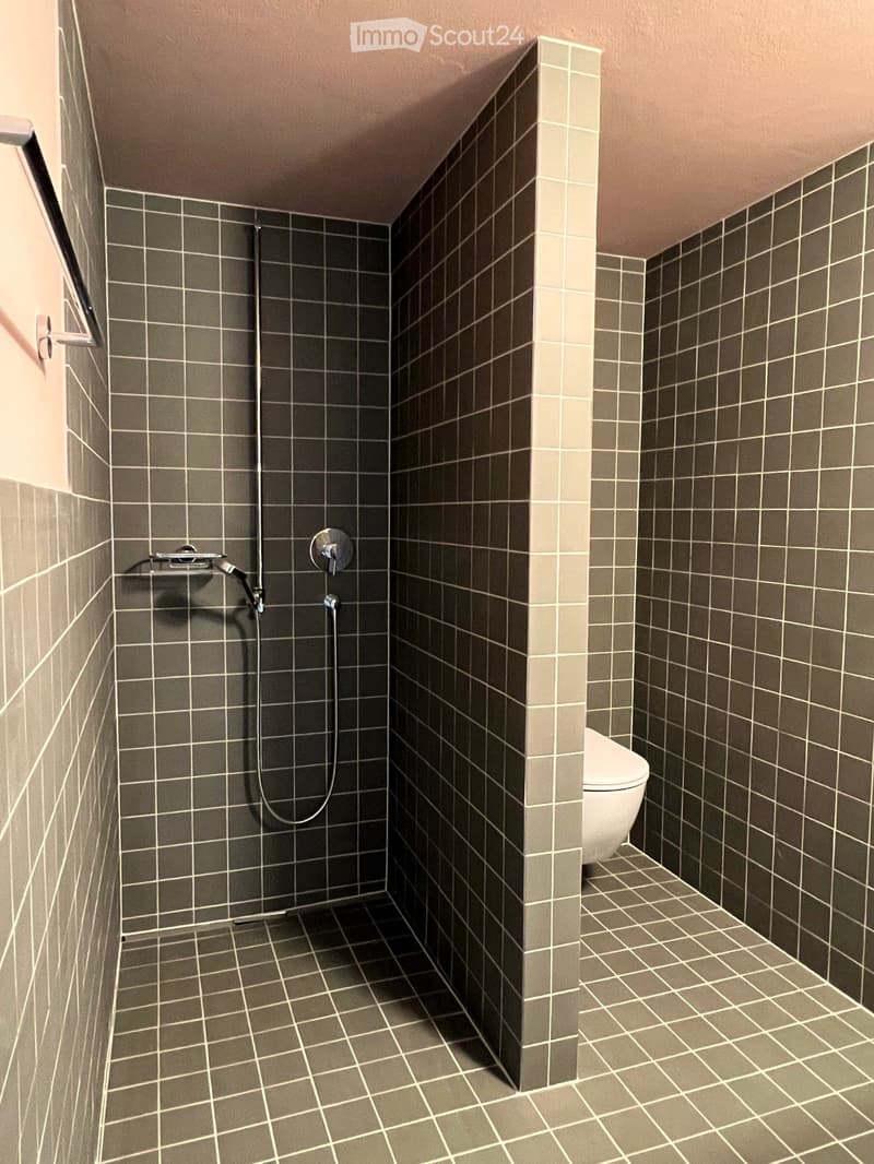 Modern bathroom with grey tiled walls and floor, featuring a shower area with a handheld showerhead and a toilet in the corner.