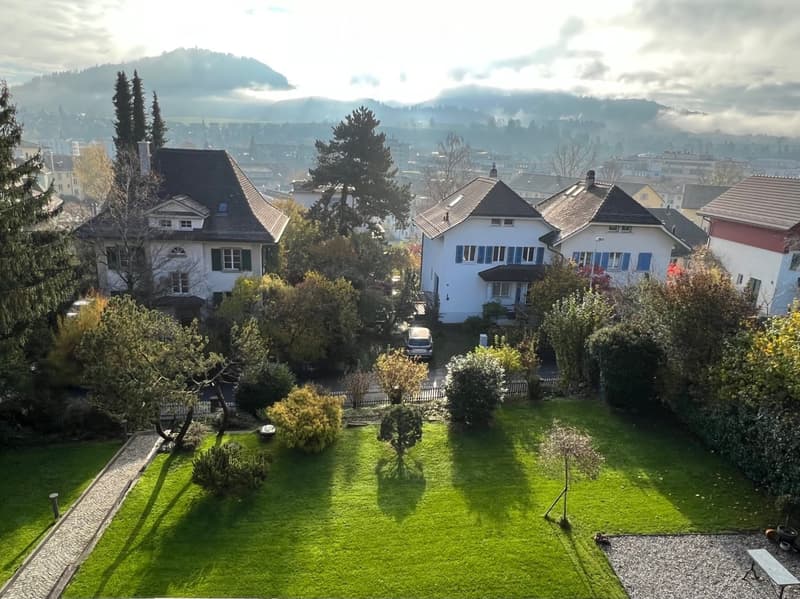 A well-maintained garden with a green lawn, trees, shrubs, and a pathway leading to a house. The background shows a scenic view of a town with houses and mountains.