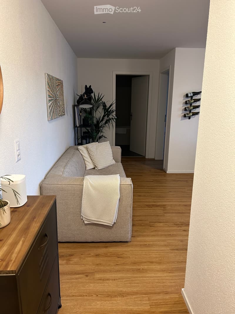 A cozy living room with a beige sofa, pillows, a blanket, a side table with a plant, a shelf with a lamp and decorative items, and a wine rack on the wall.