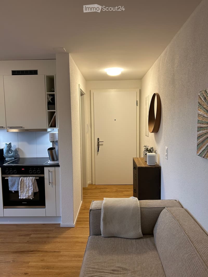 A compact living space with a sofa, coffee table, small kitchen area with an oven and fridge, and a cabinet with a mirror. The room features wooden flooring and modern decor.