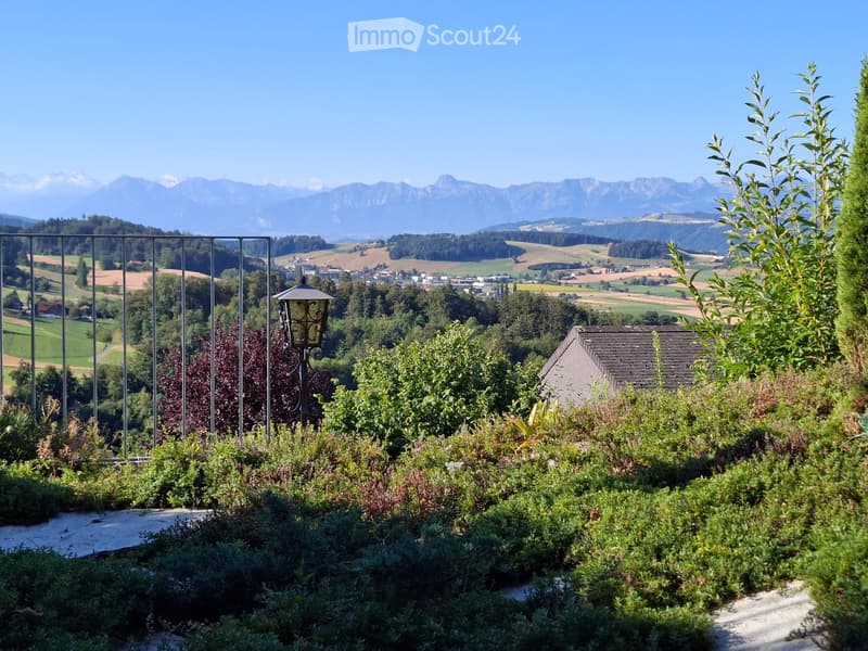 A lush garden with various shrubs and plants, featuring a metal railing and a decorative lantern, overlooking a scenic valley and distant mountains.