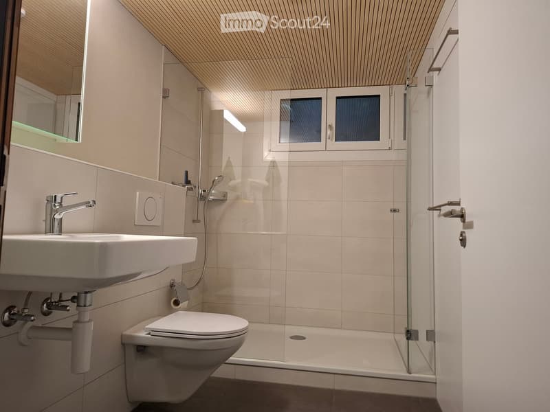 Modern bathroom with a white sink, chrome faucet, toilet, glass-enclosed shower, and a large mirror above the sink.